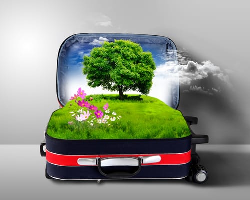 green travel
