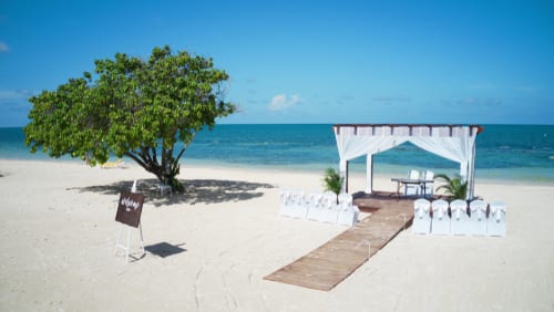 jamaica wed